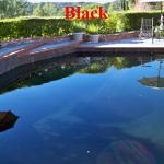 Black
Reyes Pool Plastering INC. 