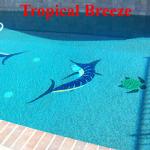 Tropical Breeze
Reyes Pool Plastering INC. 