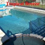 Tropical Breeze
Reyes Pool Plastering INC. 